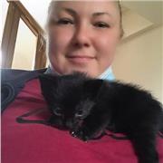 Insegnante per scuole elementari/medie, ripetizioni, in sede o da remoto